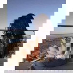 Febri Agustin profile icon