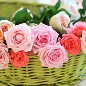 Nindya Listy profile icon