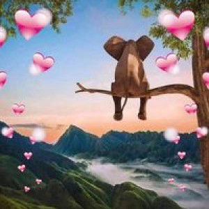 Kornnipa Hompa profile icon