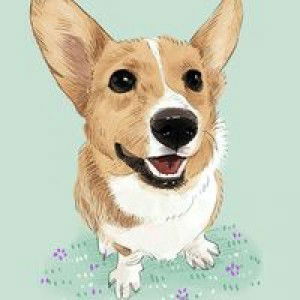 Tonari Totoro profile icon