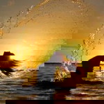 Cii Jeng In profile icon