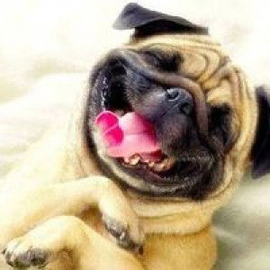 ไม่สนิด ไม่ต้องแอด profile icon