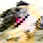 ไม่สนิด ไม่ต้องแอด profile icon