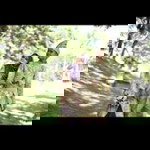 زاريث جولايها profile icon