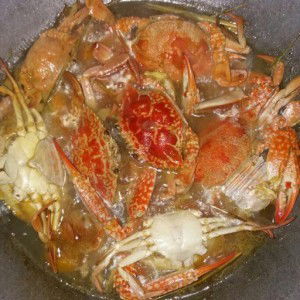 chanel wakatobi profile icon