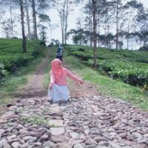 Desi Desmawati profile icon