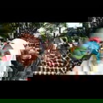 Dian Wulandari profile icon