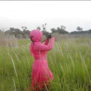 Angel Nise profile icon