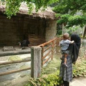 Fani Fani profile icon