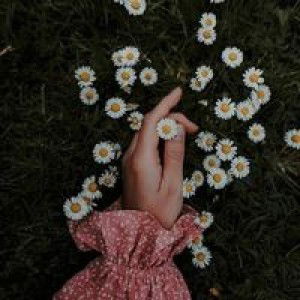 Heny Septya Prastuti profile icon