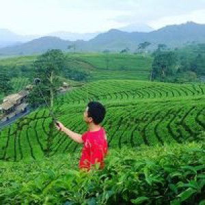 Irvan Solehudin profile icon