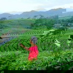 Irvan Solehudin profile icon