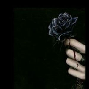 Hijraini Mappalalo profile icon