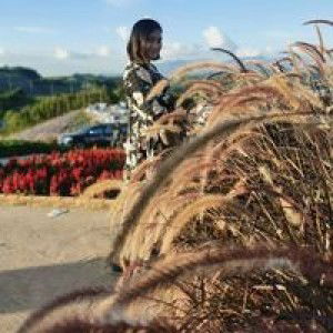 Beau Thitiporn profile icon