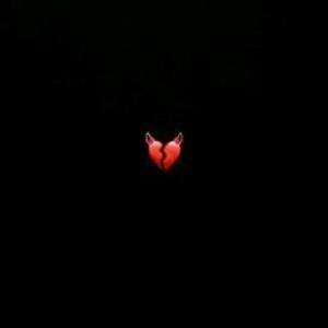 Nyysa bell profile icon