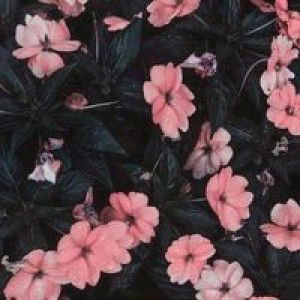 Lianti Hidayat profile icon