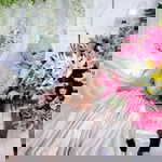 Defa Febryan profile icon