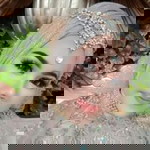 Irma Indrianti profile icon