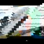 Wiji Lesstari profile icon