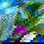 Jhane Lopez profile icon