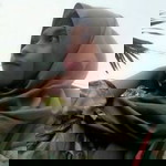 Riska Anggara profile icon