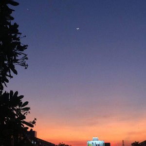 Lucytania Hadi profile icon