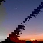 Lucytania Hadi profile icon