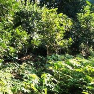 Doa Putri Terindah profile icon