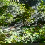 Doa Putri Terindah profile icon