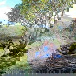 Aira Santos profile icon