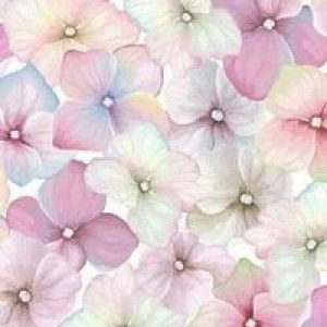 albaniah profile icon