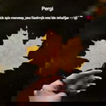 Kend Adja profile icon