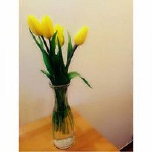 Pipit Duuwy profile icon