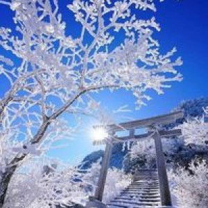 Mary Mae Nagtalon profile icon