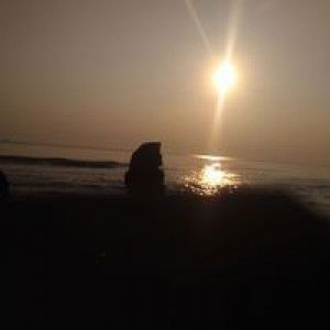 Ismu Muarifah profile icon