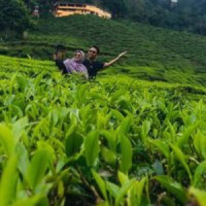 Sis Dhiya profile icon