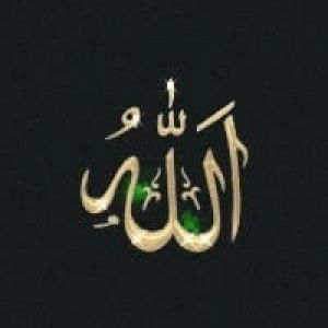 Desy Dwi Putri Mib profile icon