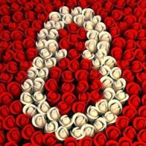 Liva Rosvita Sari profile icon