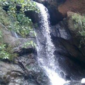 Hennybudiyanti profile icon