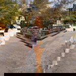 Aommy Sirinthip profile icon