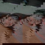 Donna Soriano profile icon