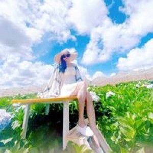 Mỹ Nương profile icon