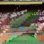 Meaw Mi profile icon