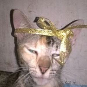 Wita Yulianti profile icon