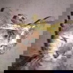 Wita Yulianti profile icon