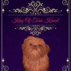 Nharesa Rodriguez profile icon