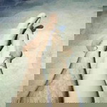 Mis Mey Zwei profile icon