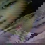 Ayu Sagita profile icon