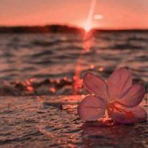 Nong Ranty profile icon