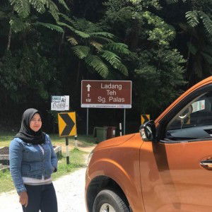 Noranis Hamad profile icon